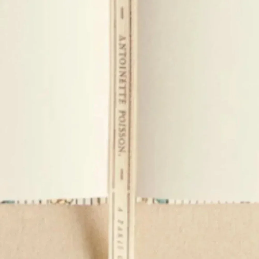 NWT Sézane X Antoinette Poisson Notebook